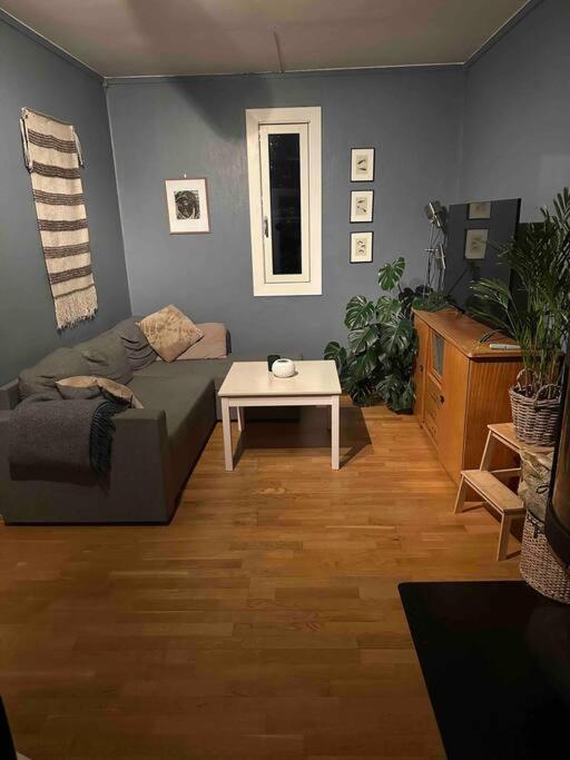 Solrik Endeleilighet Pa Hovin. Apartment *